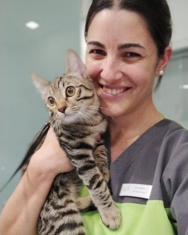 O Ozzy passou na receção para dar um beijinho à "tia" Sofia!😍 Quantos ❤️ para esta foto?

#hospitalveterinariodeaveiro #aveiro #aveiroportugal #gatosdeaveiro #gatosdeportugal #cats_of_portugal